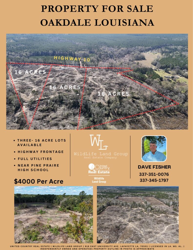 Property photo for land for sale in Evangeline County Louisiana