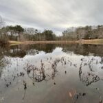 Property photo for land for sale in Jones County Mississippi