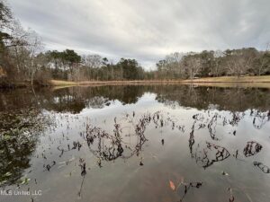 Property photo for land for sale in Jones County Mississippi