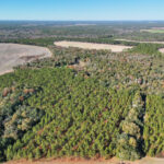 Property photo for land for sale in Mitchell County Georgia