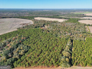 Property photo for land for sale in Mitchell County Georgia