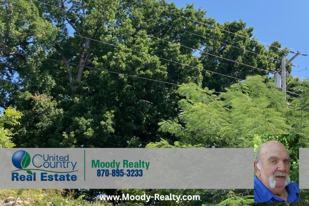 Property photo for land for sale in Sharp County Arkansas