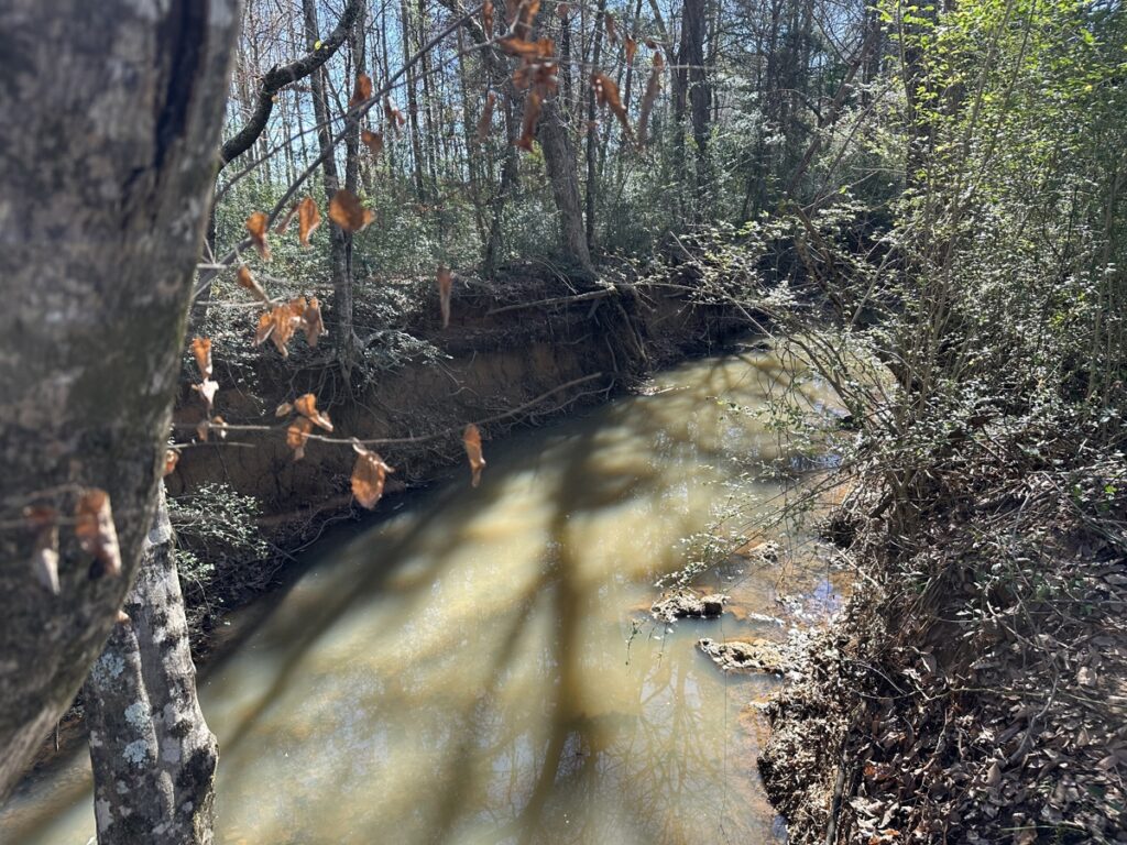 Property photo for land for sale in Cherokee County Texas