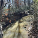 Property photo for land for sale in Cherokee County Texas