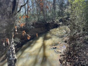 Property photo for land for sale in Cherokee County Texas