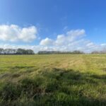Property photo for land for sale in Lafayette County Louisiana