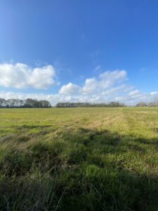 Property photo for land for sale in Lafayette County Louisiana
