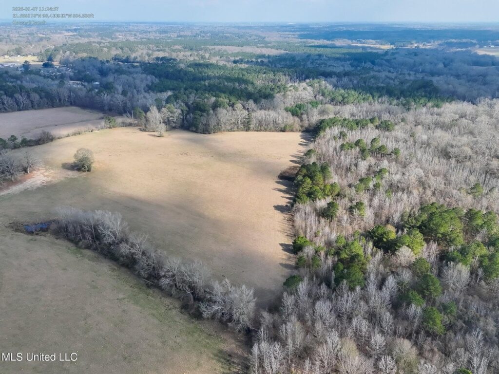 Property photo for land for sale in Lincoln County Mississippi