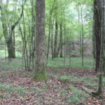 Property photo for land for sale in Lincoln County Mississippi