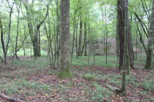 Property photo for land for sale in Lincoln County Mississippi