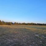 Property photo for land for sale in Rusk County Texas