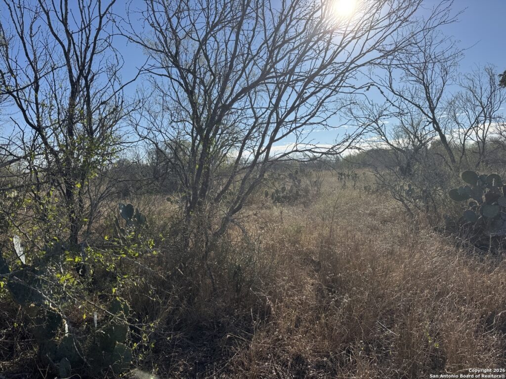 Property photo for land for sale in Atascosa County Texas