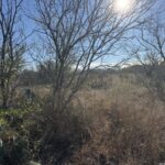 Property photo for land for sale in Atascosa County Texas