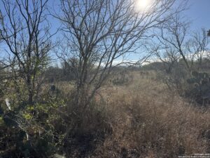 Property photo for land for sale in Atascosa County Texas