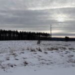 Property photo for land for sale in Waupaca County Wisconsin