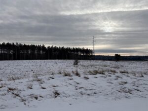 Property photo for land for sale in Waupaca County Wisconsin