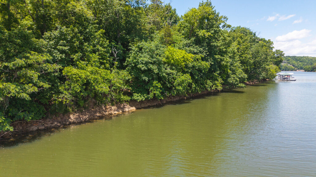 Property photo for land for sale in Campbell County Virginia