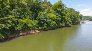 Property photo for land for sale in Campbell County Virginia