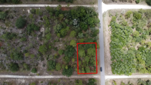 Property photo for land for sale in Levy County Florida
