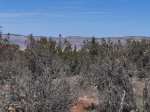 Property photo for land for sale in Yavapai County Arizona