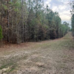 Property photo for land for sale in Lincoln County Louisiana
