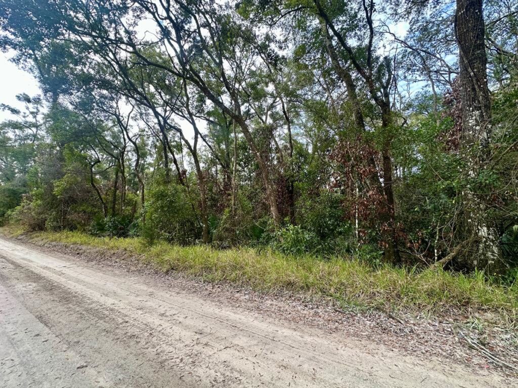 Property photo for land for sale in Gilchrist County Florida