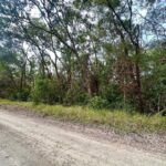 Property photo for land for sale in Gilchrist County Florida