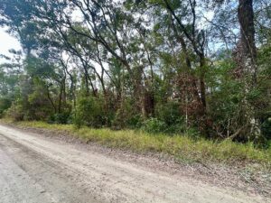 Property photo for land for sale in Gilchrist County Florida