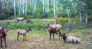 Property photo for land for sale in Montrose County Colorado