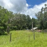Property photo for land for sale in Levy County Florida