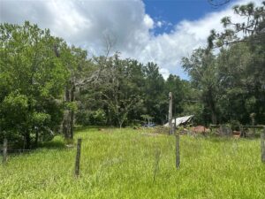 Property photo for land for sale in Levy County Florida