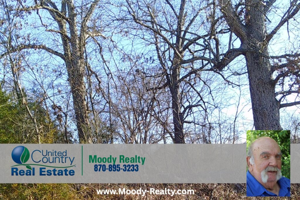 Property photo for land for sale in Sharp County Arkansas