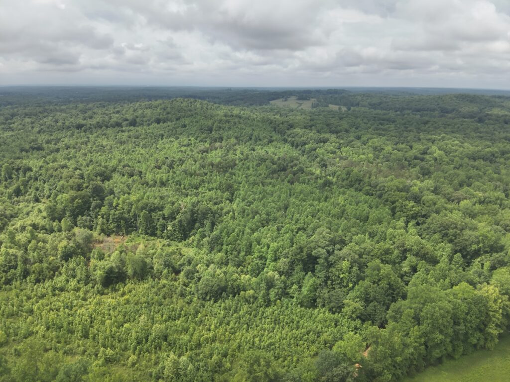 Property photo for land for sale in Decatur County Tennessee