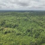Property photo for land for sale in Decatur County Tennessee