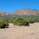 Property photo for land for sale in Santa Fe County New Mexico