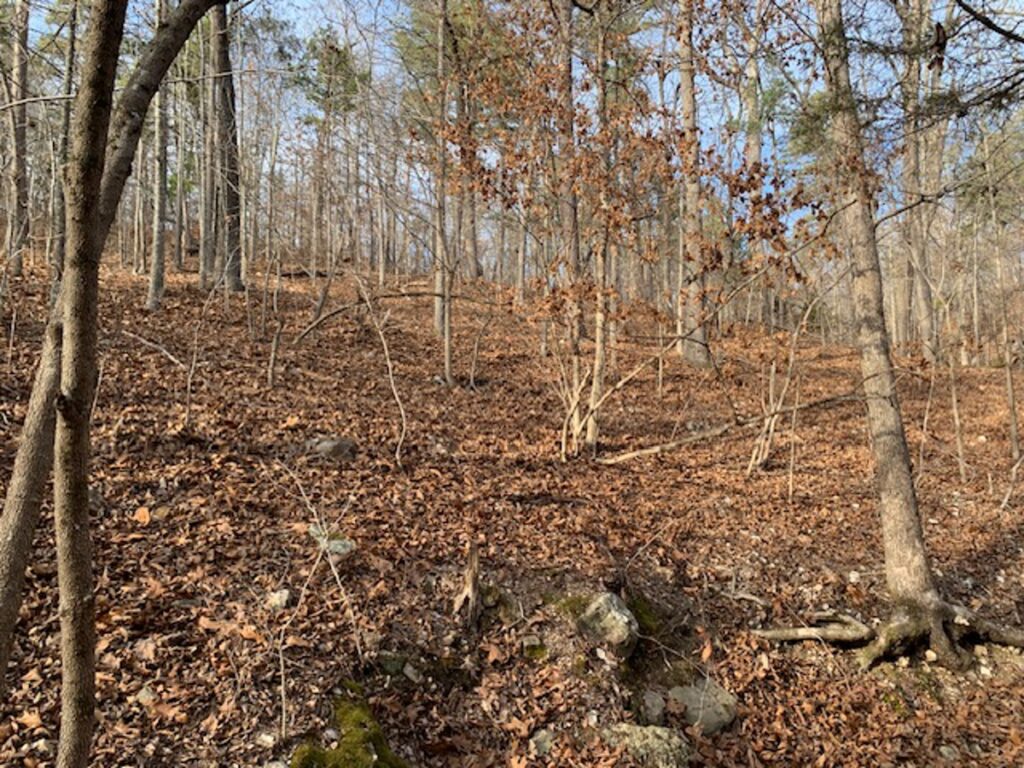 Property photo for land for sale in Marion County Arkansas