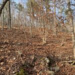 Property photo for land for sale in Marion County Arkansas