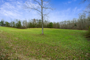 Property photo for land for sale in Cumberland County Tennessee