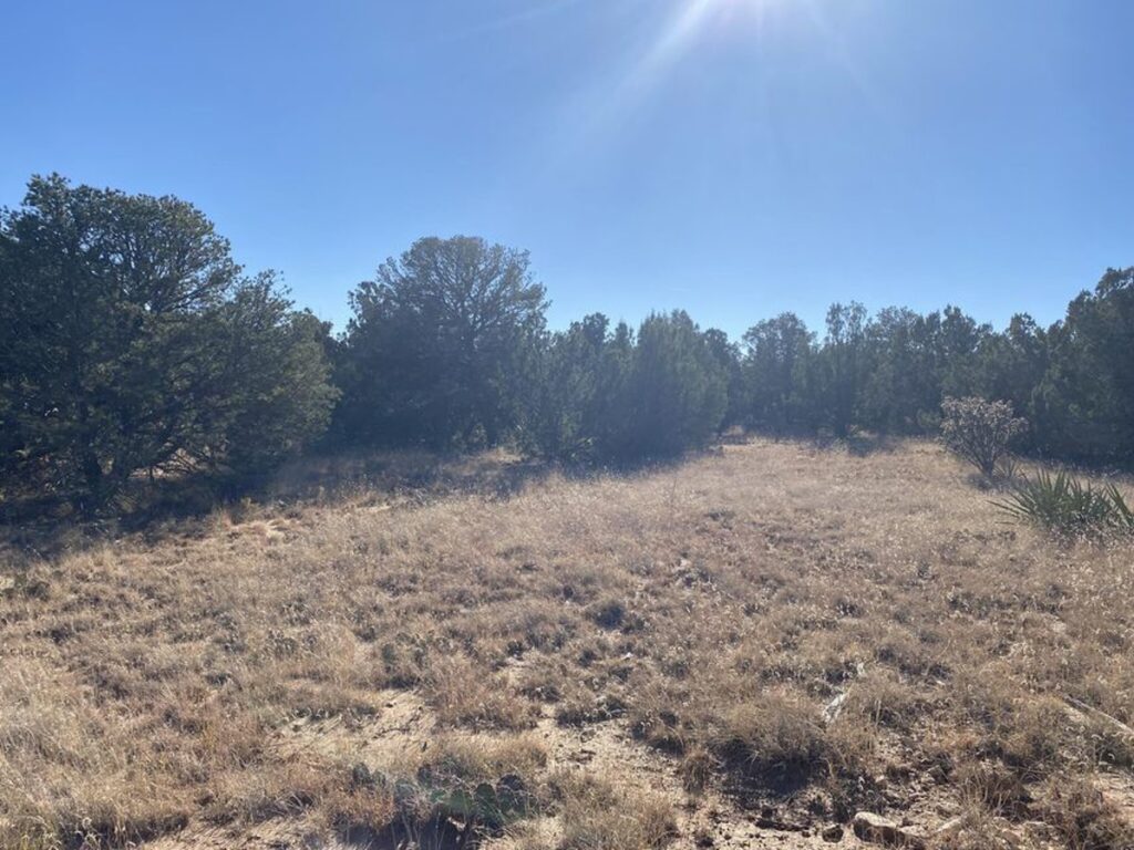 Property photo for land for sale in Torrance County New Mexico