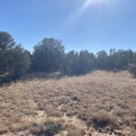 Property photo for land for sale in Torrance County New Mexico
