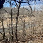 Property photo for land for sale in Sharp County Arkansas