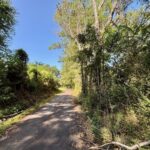 Property photo for land for sale in Pike County Mississippi