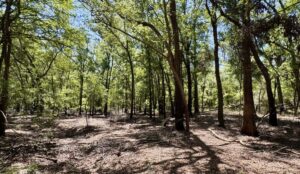 Property photo for land for sale in Suwannee County Florida