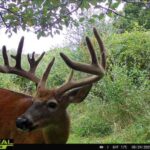 Property photo for land for sale in Richland County Wisconsin