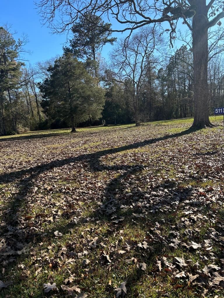 Property photo for land for sale in Lincoln County Mississippi