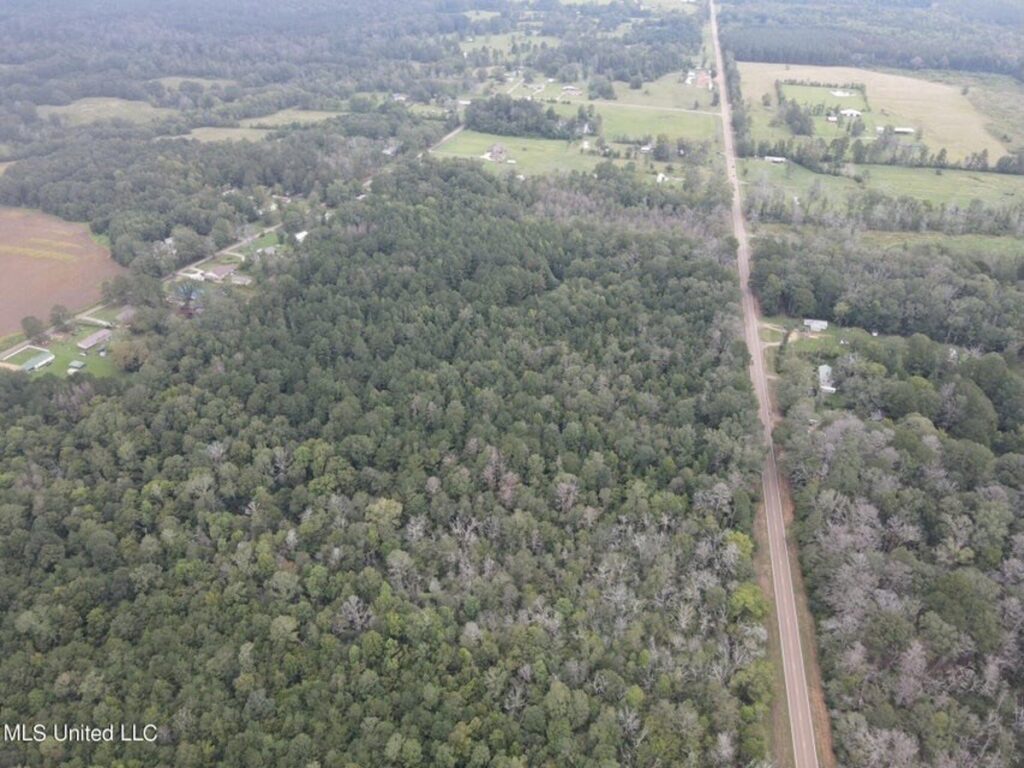 Property photo for land for sale in Scott County Mississippi