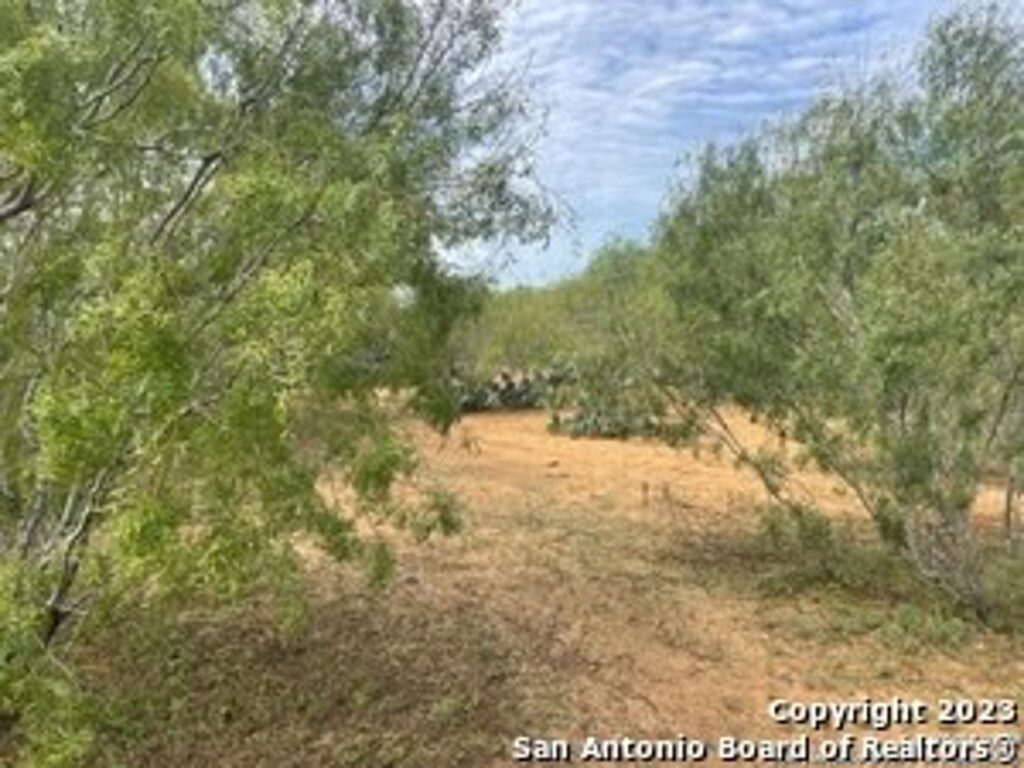 Property photo for land for sale in Atascosa County Texas