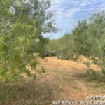 Property photo for land for sale in Atascosa County Texas