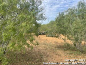 Property photo for land for sale in Atascosa County Texas