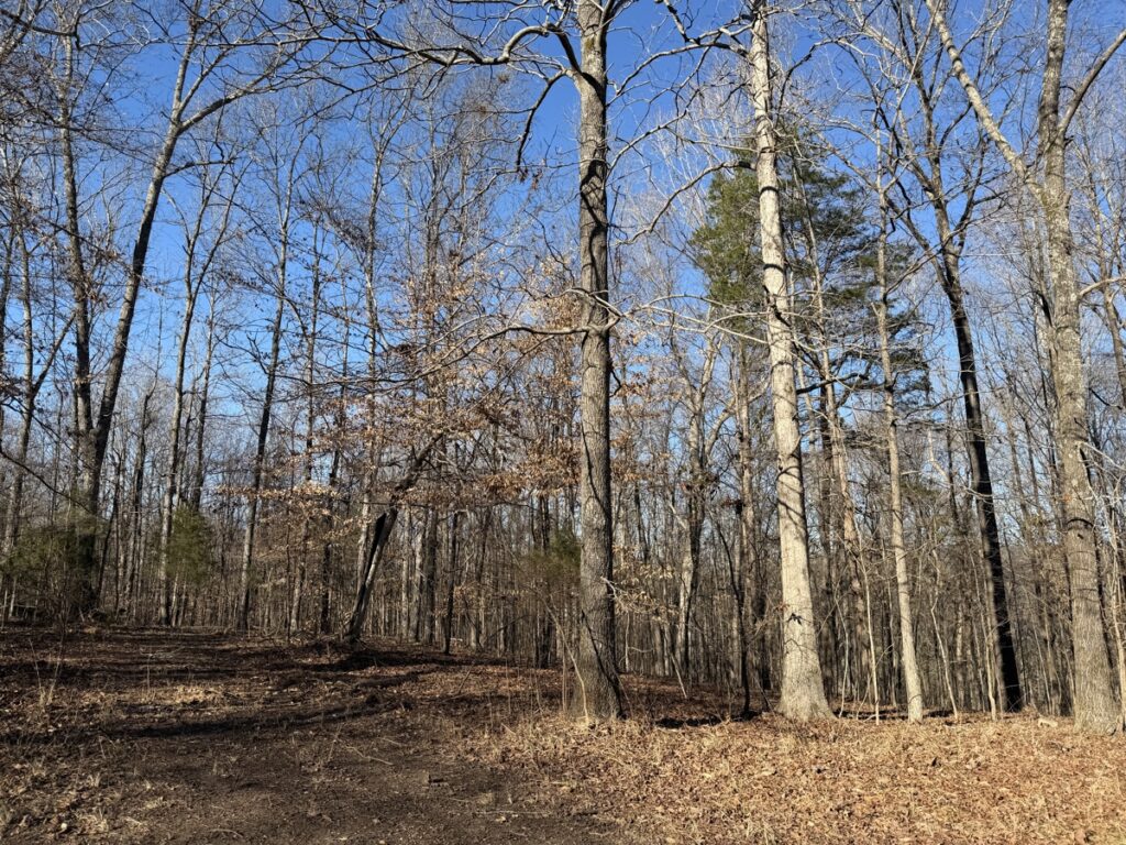Property photo for land for sale in Hardin County Tennessee